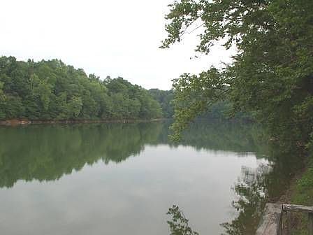 River From Back Deck
