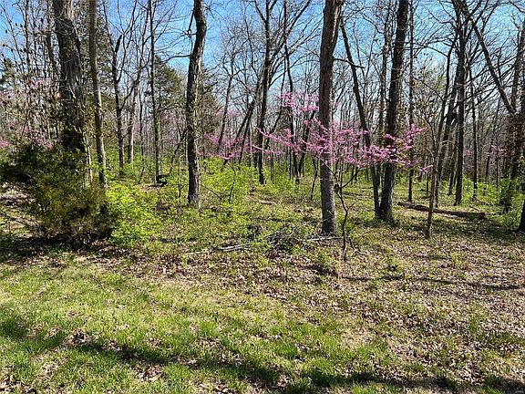 3rd image of 204 Jabin Farm Ct