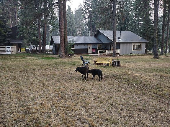 Back yard looking south.
