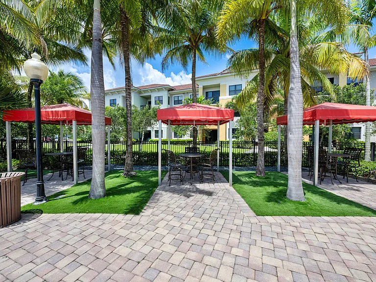 10X Sawgrass — Photo 10