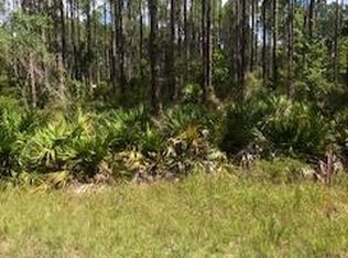 LOT 86 Sugar Hill Rd NE, Steinhatchee, FL 32359