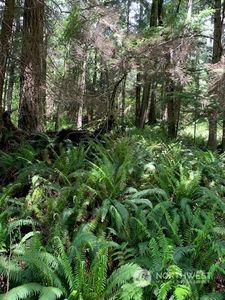 148 xx 273rd Avenue SE, Issaquah, WA, 98027