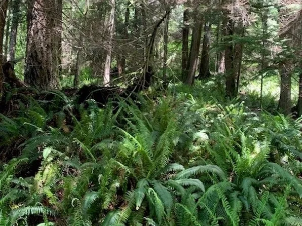 148 xx 273rd Avenue SE, Issaquah, WA 98027