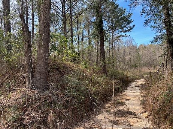 2nd image of Conecuh River Church Rd