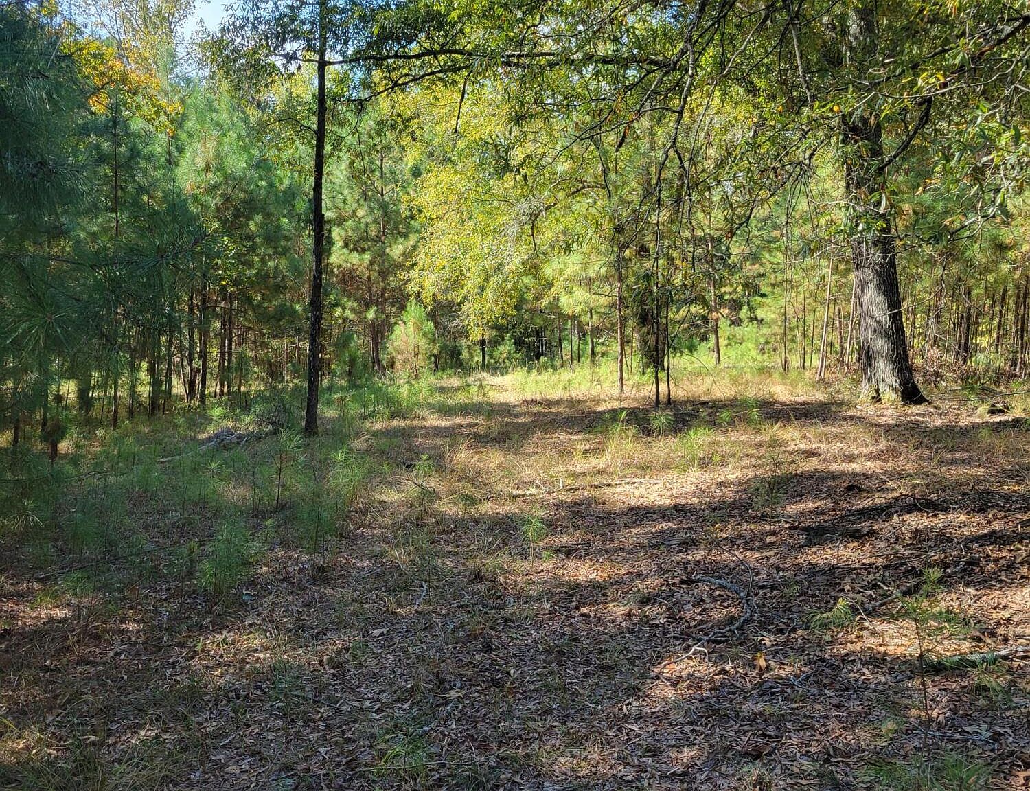 0 Water Oak Dr, Lincolnton, GA 30817 MLS 521472 Zillow