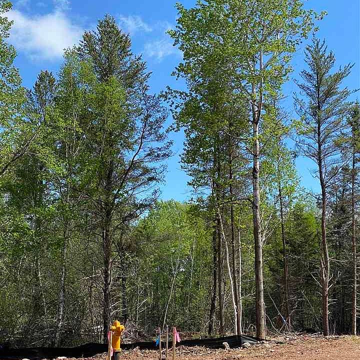 1 Hartley Hills Dr, Duluth, MN 55803 MLS 6091948 Zillow