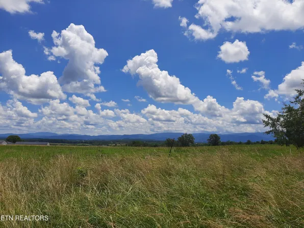 1290 Clear Springs Rd, Limestone, TN 37681