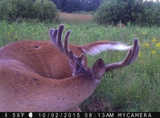 56058 Kerrick Rd, Bruno, MN 55712