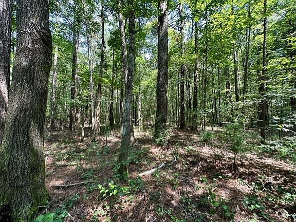 2nd image of Lee Bass Rd