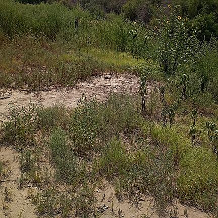 2nd image of 12367 County Road Ff5