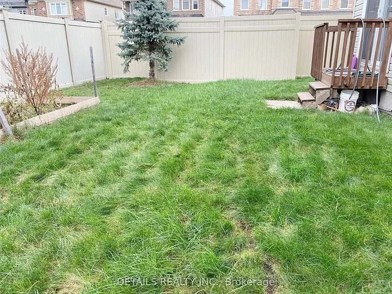 439 Cavesson St — Photo 25