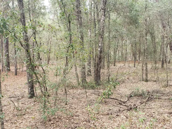 TBD DEW DROP, Hawthorne, FL 32640