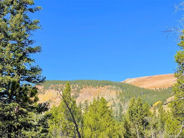 Mosquito Circle LOT 11, Alma, CO 80420