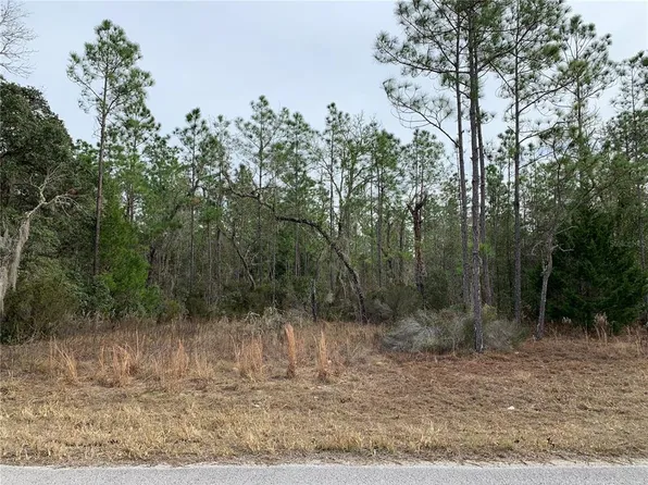 NE 103rd Ter Lot 65, Bronson, FL 32621