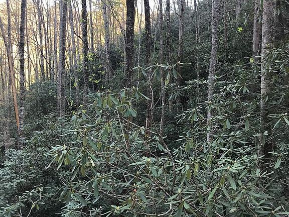 5th image of 604 Upper Sawyers Creek