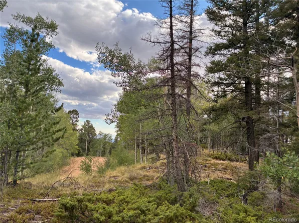 LOT 5563 Balleroy Road, San Luis, CO 81152