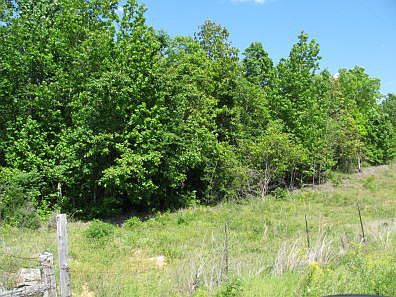 3rd image of 285 Wagon Wheel Ln