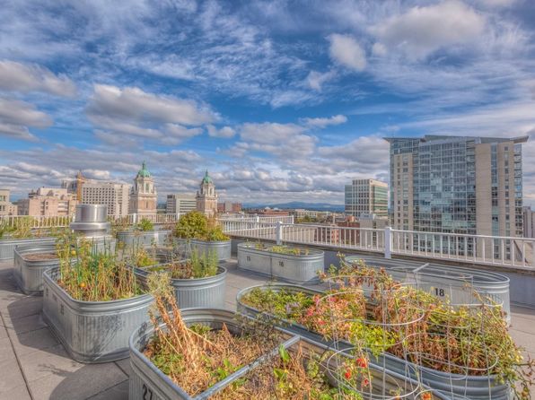 910 8th Ave APT 1203