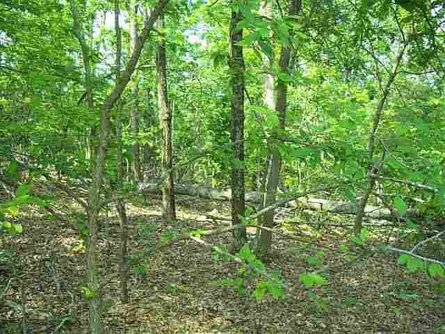 1st image of LOT 81 Champion Hills Rd
