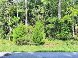 Jumper Loop LOT 47, Spring Hill, FL 34609