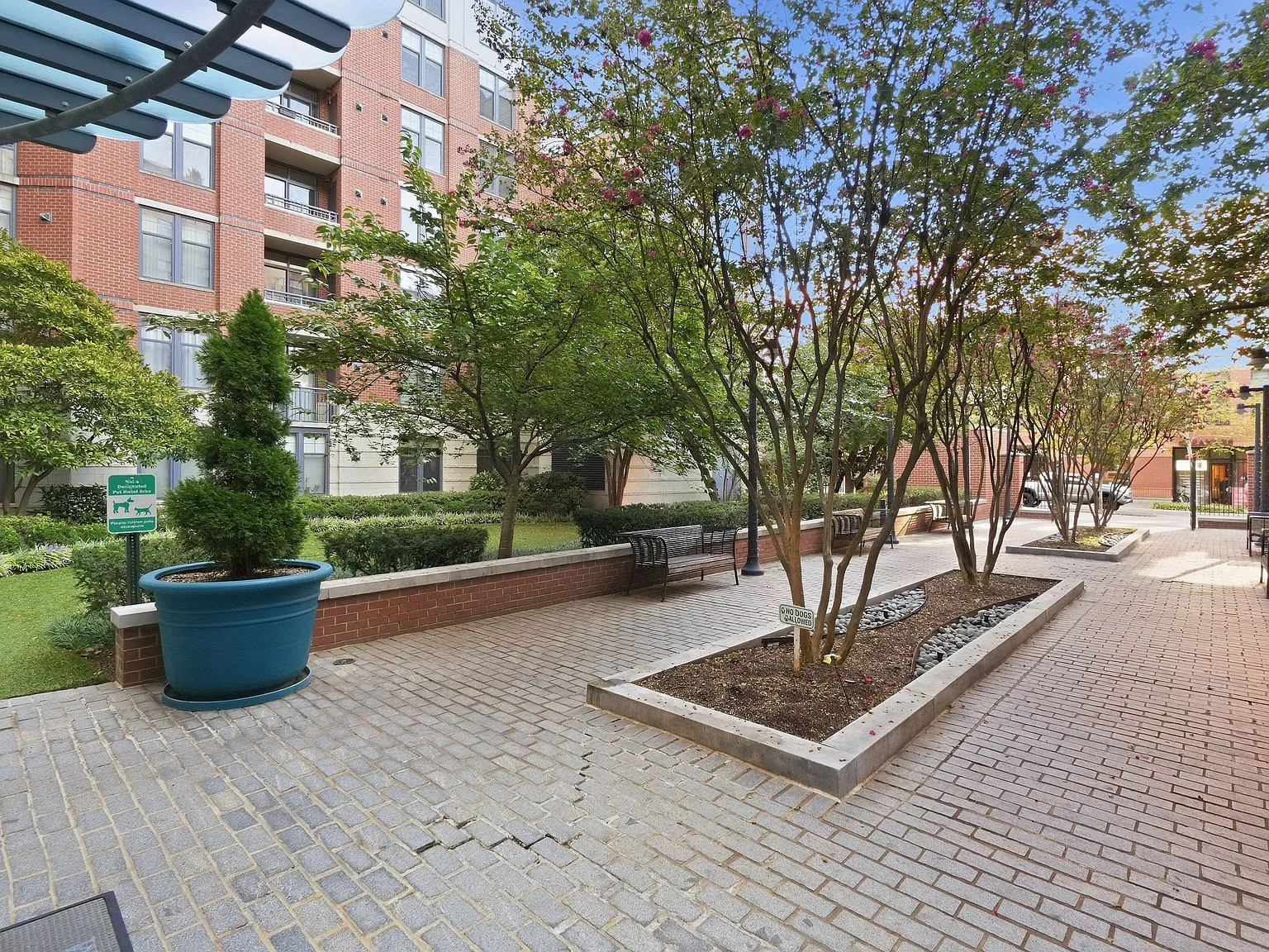 2 bed, 873 sqft, $3,100 — Photo 4
