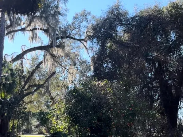 SE County Road 234 Lot 5, Micanopy, FL 32667