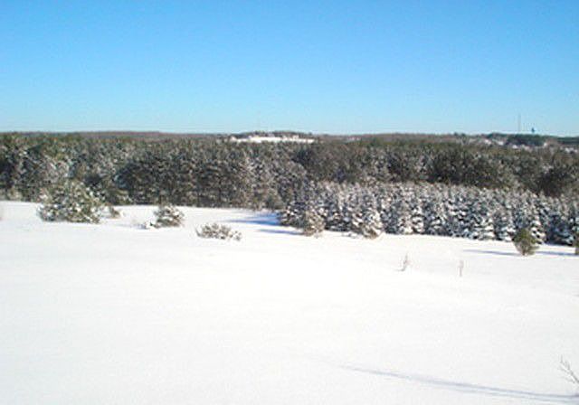 View of Kingsley Valley