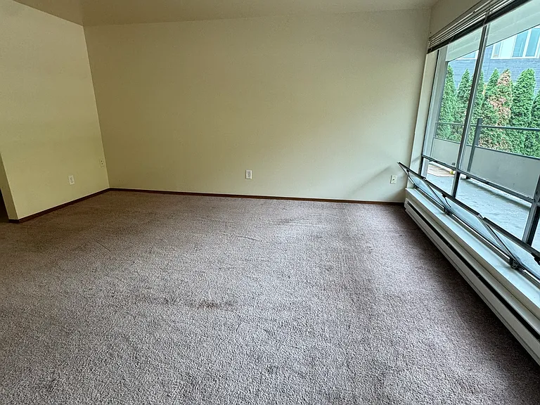 4119 11th Ave NE #1003 — Photo 5