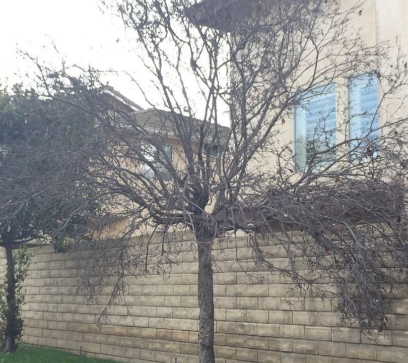 2nd image of 940 Via Brisas