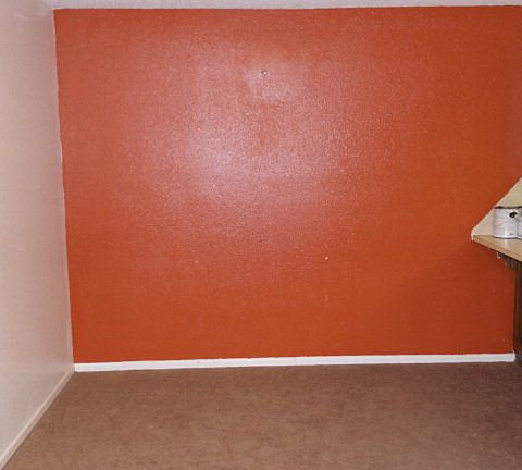 4th image of 1205 Mimosa Cir