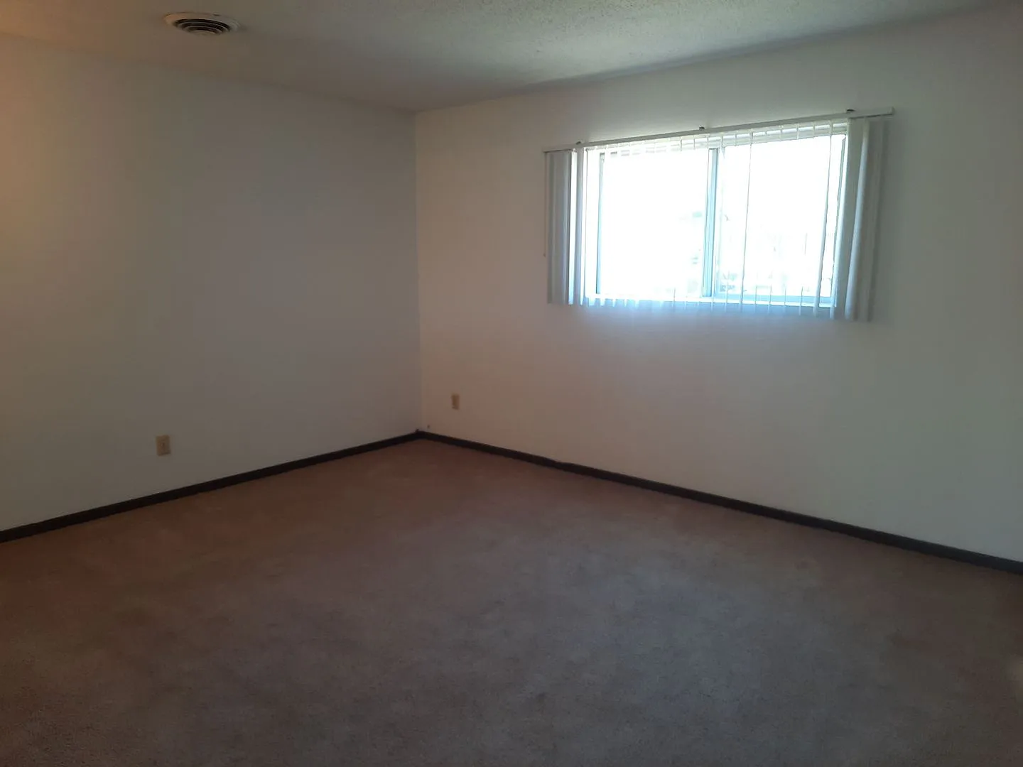 Boxwood 624 — Photo 3