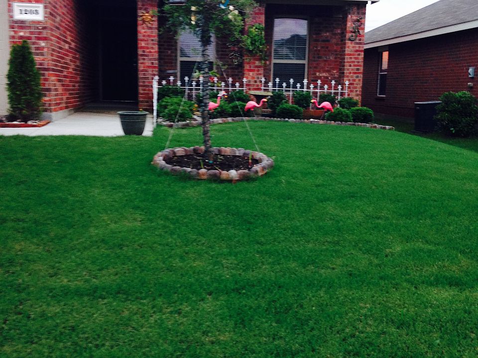 Grass is beautiful in season