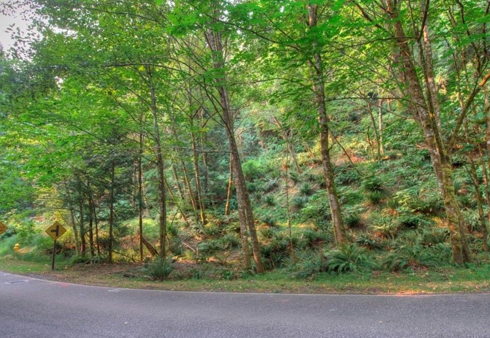1st image of 160 Sudden Valley Dr