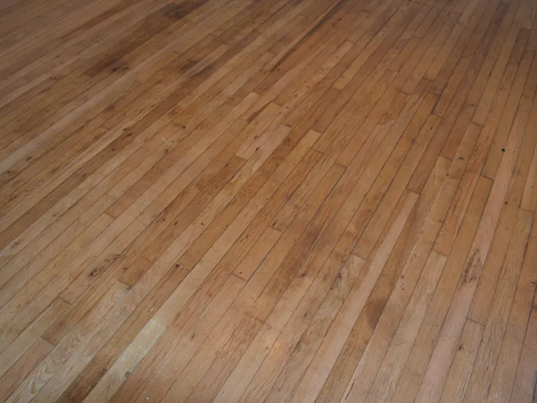 2834 Downing St #2 — Photo 5