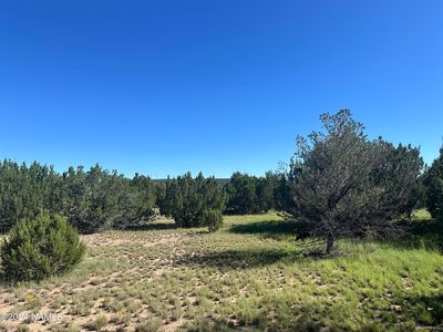 1259 E Cedar Wash Rd, Williams, AZ, 86046