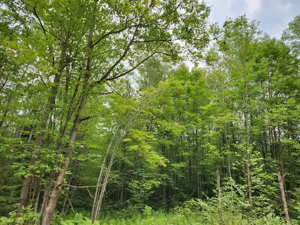 HAGAR CITY ROAD #NW 1/4 SW 1/4 Sec 14, Merrill, WI 54452