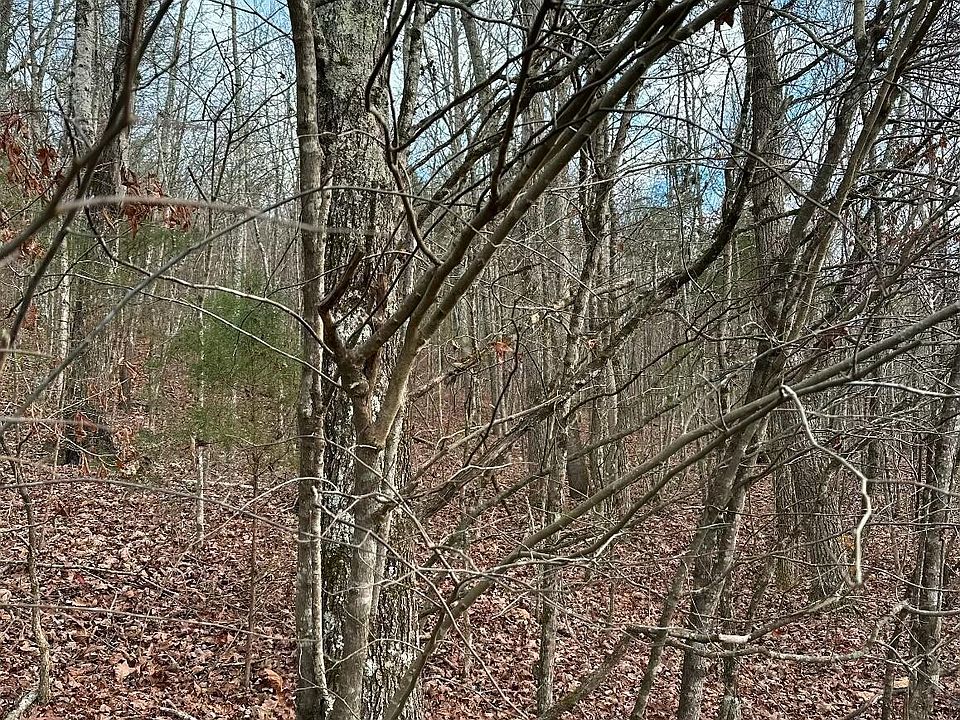 2nd image of 0 Grasshopper Rd