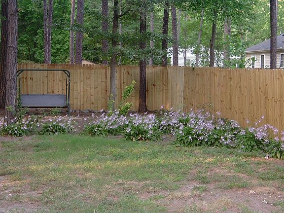 Fenced rear yard