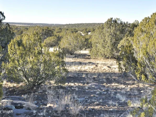 91 Tamarron Ranches, Concho, AZ 85924