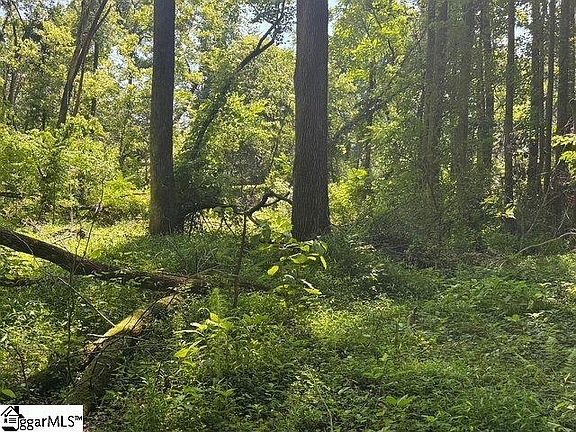 5th image of Berry Shoals Rd