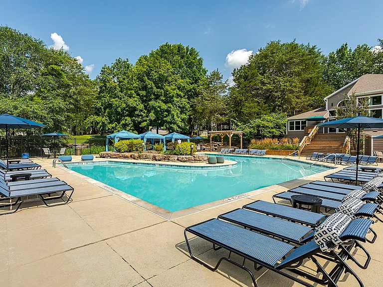 Refreshing Swimming Pool