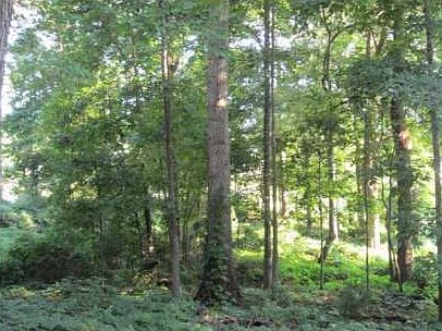 5th image of 2062 Rockdale Cir