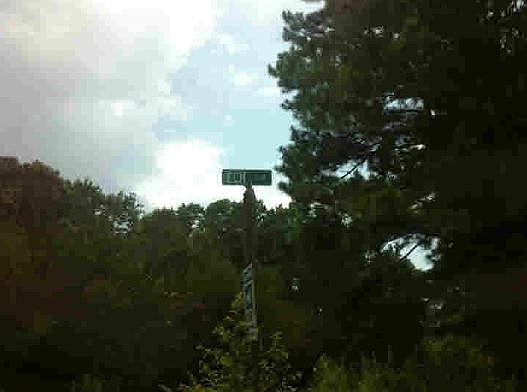 2nd image of 238 Elm Cir
