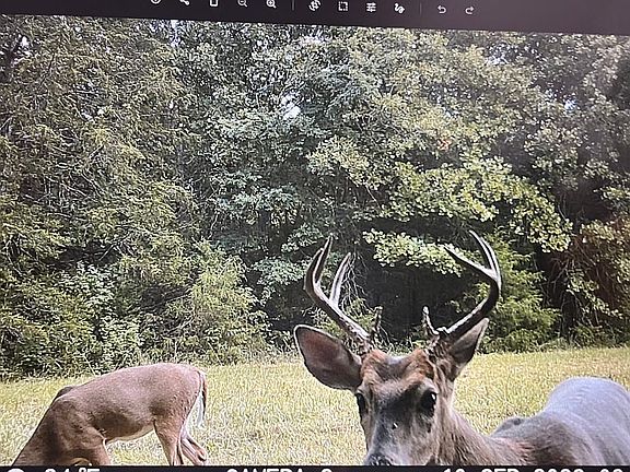 5th image of 2480 County Rd #317