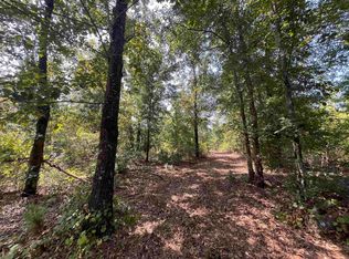 0 Tower Point Rd, Buena Vista, GA 31803