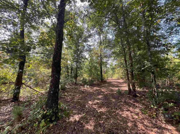 0 Tower Point Rd, Buena Vista, GA 31803