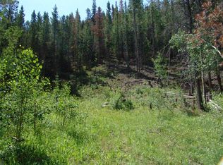Tbd Cr 8482, Tabernash, CO 80478