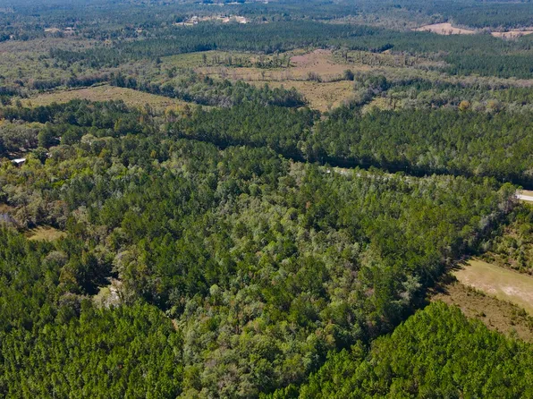 0 Highway 45 Tract #1, Fruitdale, AL 36539