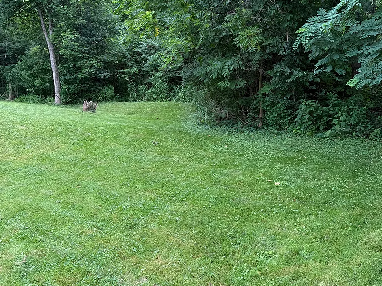 85 Adams Dr — Photo 6