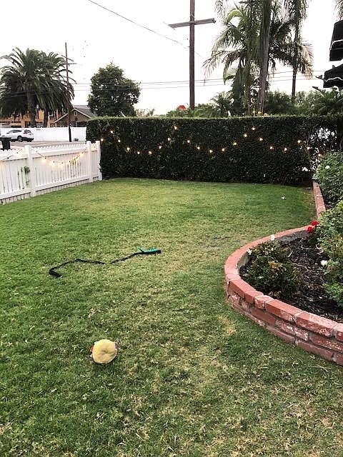 Front yard